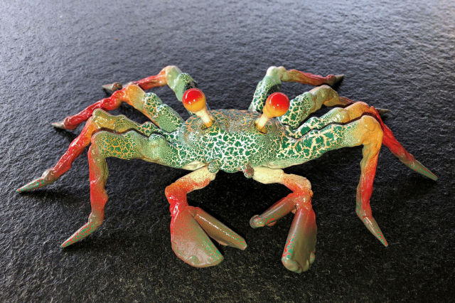 Krabbe "Tango"