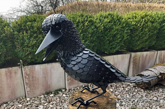 Krähe "Corvus"