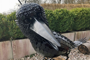 Krähe "Corvus"