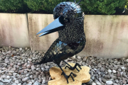 Krähe "Munin"