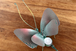 Schmetterling "Gypsi"
